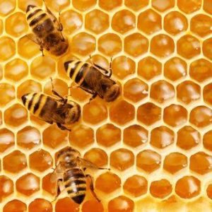 023722900_1600765740-Manfaat-Honeycomb-Bagi-Kesehatan-shutterstock_1172702116